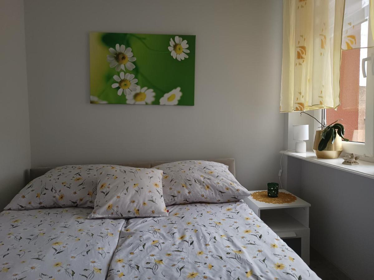 Szmaragdowy Apartament Przy Ulicy Opolskiej Tarnowskie Góry Exteriér fotografie