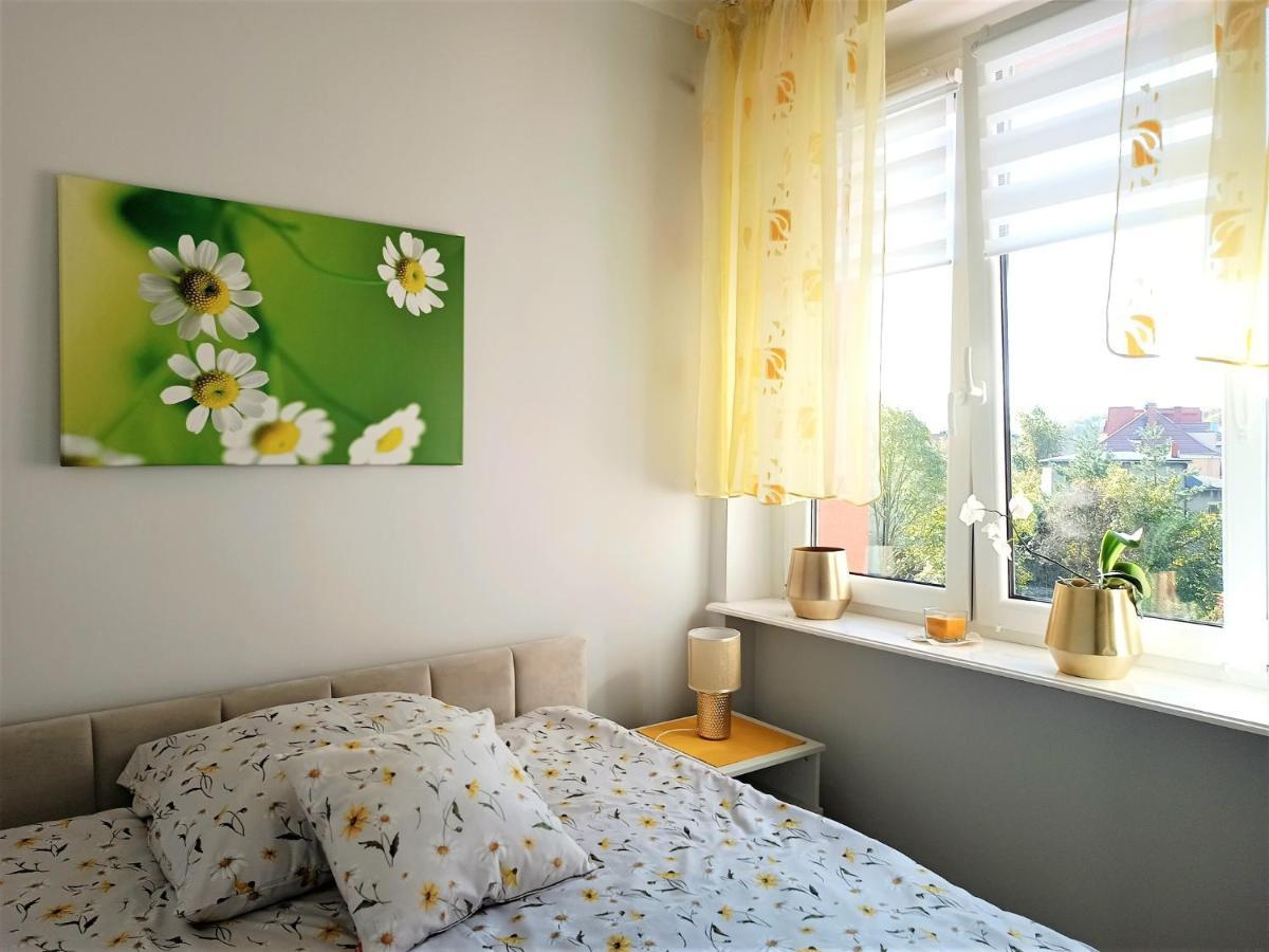 Szmaragdowy Apartament Przy Ulicy Opolskiej Tarnowskie Góry Exteriér fotografie