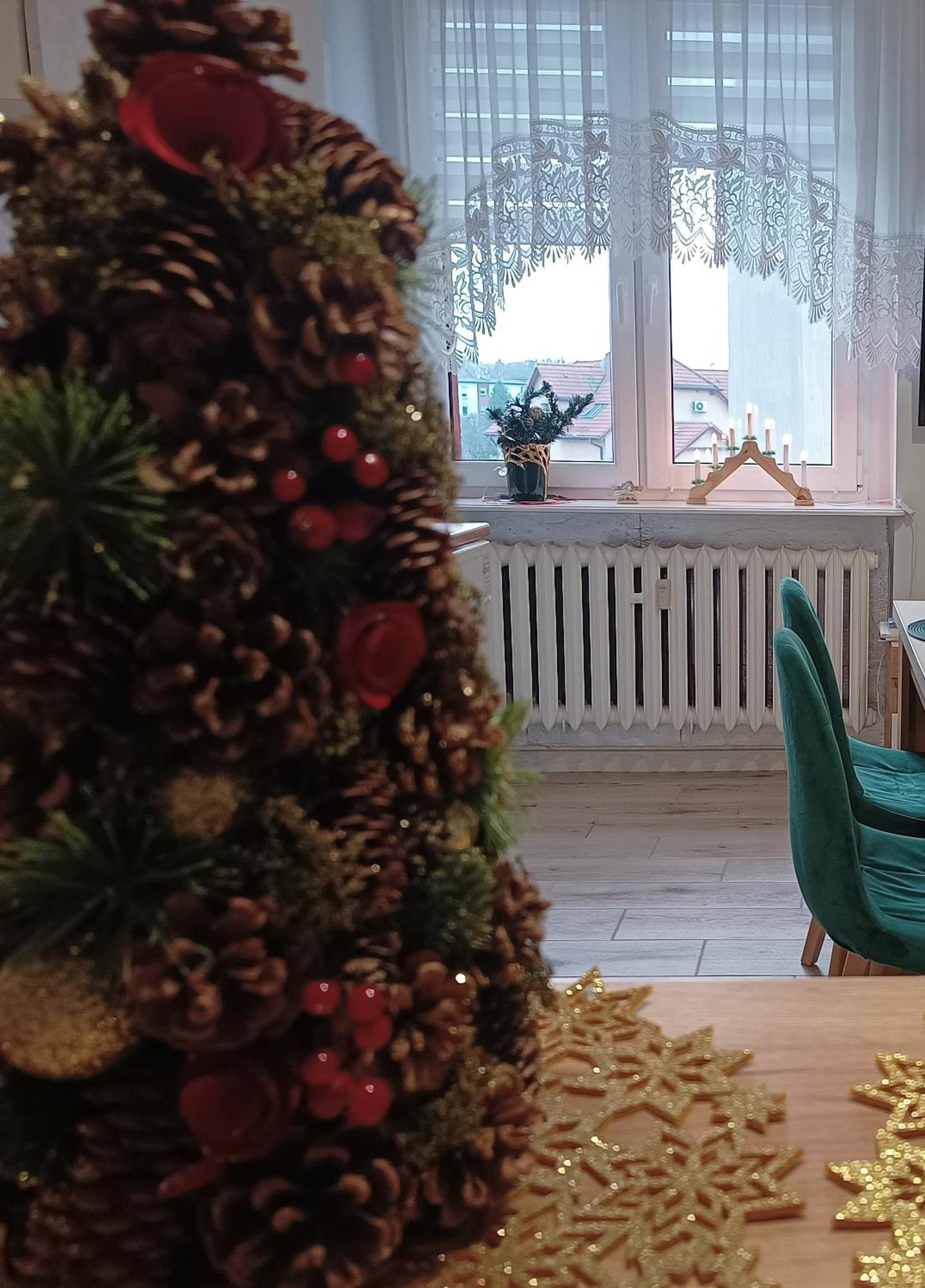 Szmaragdowy Apartament Przy Ulicy Opolskiej Tarnowskie Góry Exteriér fotografie